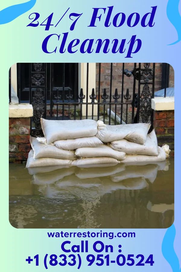 24/7 Flood Cleanup in Truesdale, MO