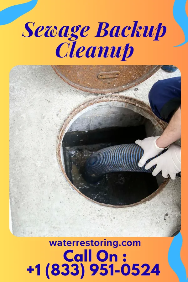 Sewage Backup Cleanup in Truesdale, MO